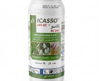 ICASSO 250CC