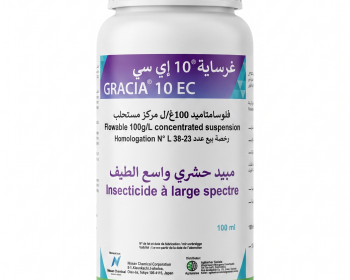 Gracia 10 EC