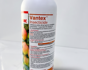 Vantex