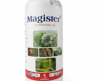 Magister 200SC 1L