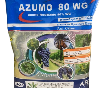 AZUMO 80 WG