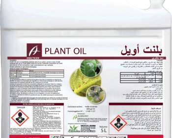 Plant Oil