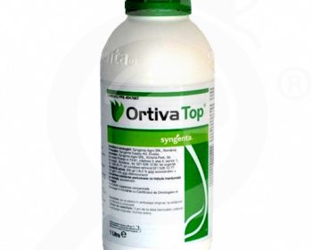 Ortiva Top