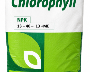 Chlorophylle NPK 13-40-13 + ME