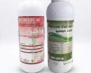 Pack Potavert 40 +Olivert coliseo