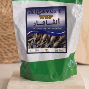 Algavert WSP 80