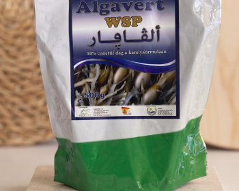 Algavert WSP 80