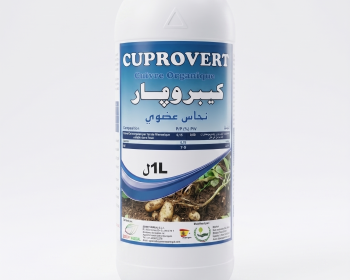 CUPROVERT (كيبروفار)